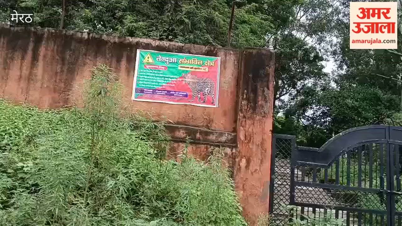Meerut: Leopard scare along the Upper Ganga Canal; Forest Department puts up warning posters.