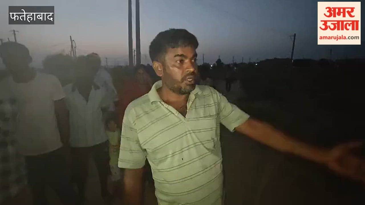 Fatehabad: Power lines had been down since morning; animals came into contact with the live current in the evening, resulting in the deaths of a buffalo and a young male buffalo.