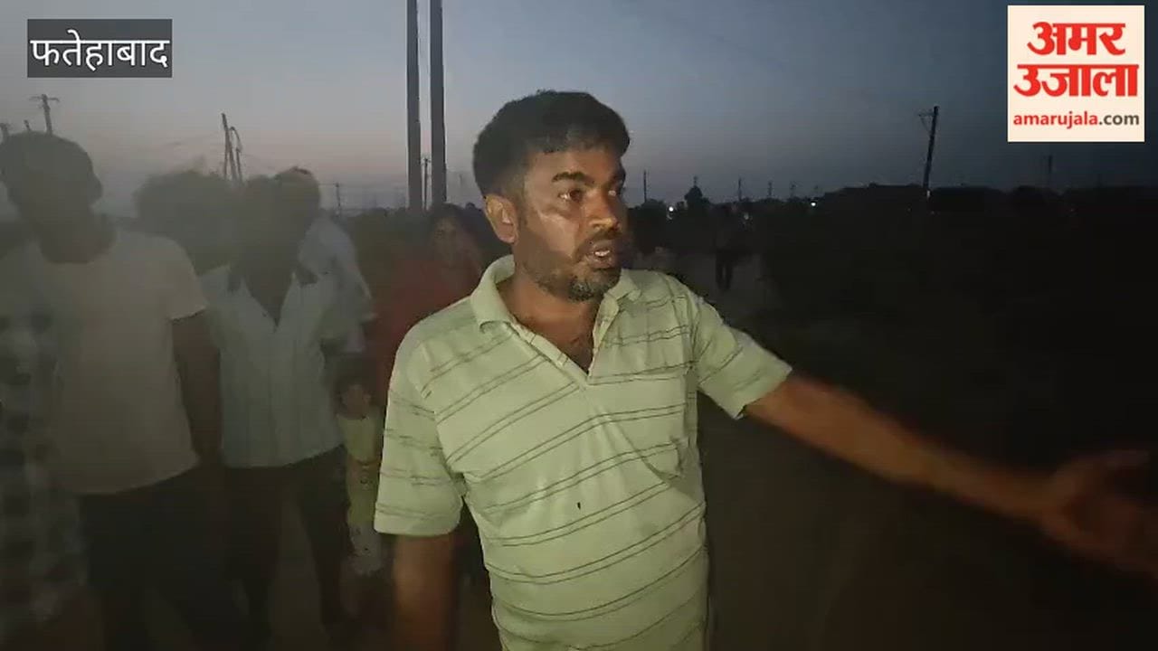 Fatehabad: Power lines had been down since morning; animals came into contact with the live current in the evening, resulting in the deaths of a buffalo and a young male buffalo.