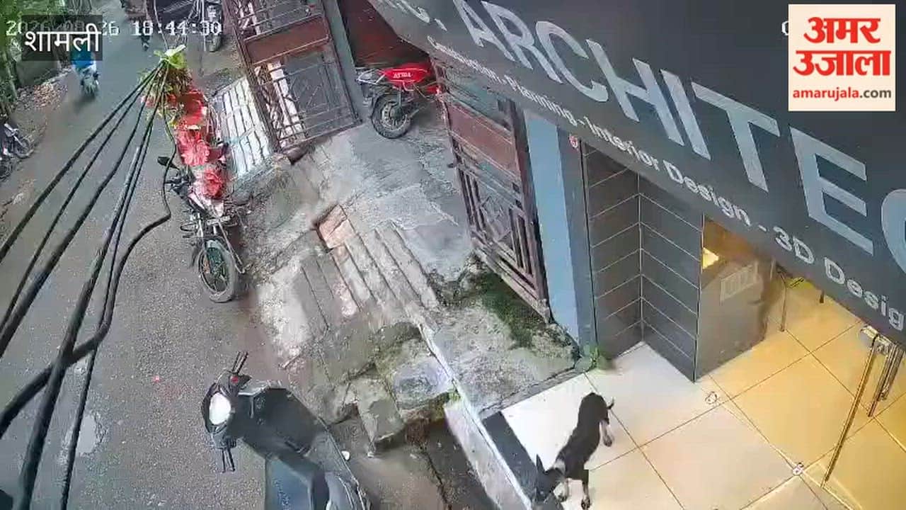 Ankit Baliyan murder captured on CCTV in one-minute-six-second clip four assailants surrounded him as soon as he stepped out of gym