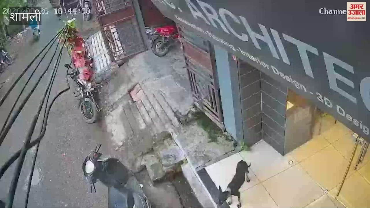 Ankit Baliyan murder captured on CCTV in one-minute-six-second clip four assailants surrounded him as soon as he stepped out of gym