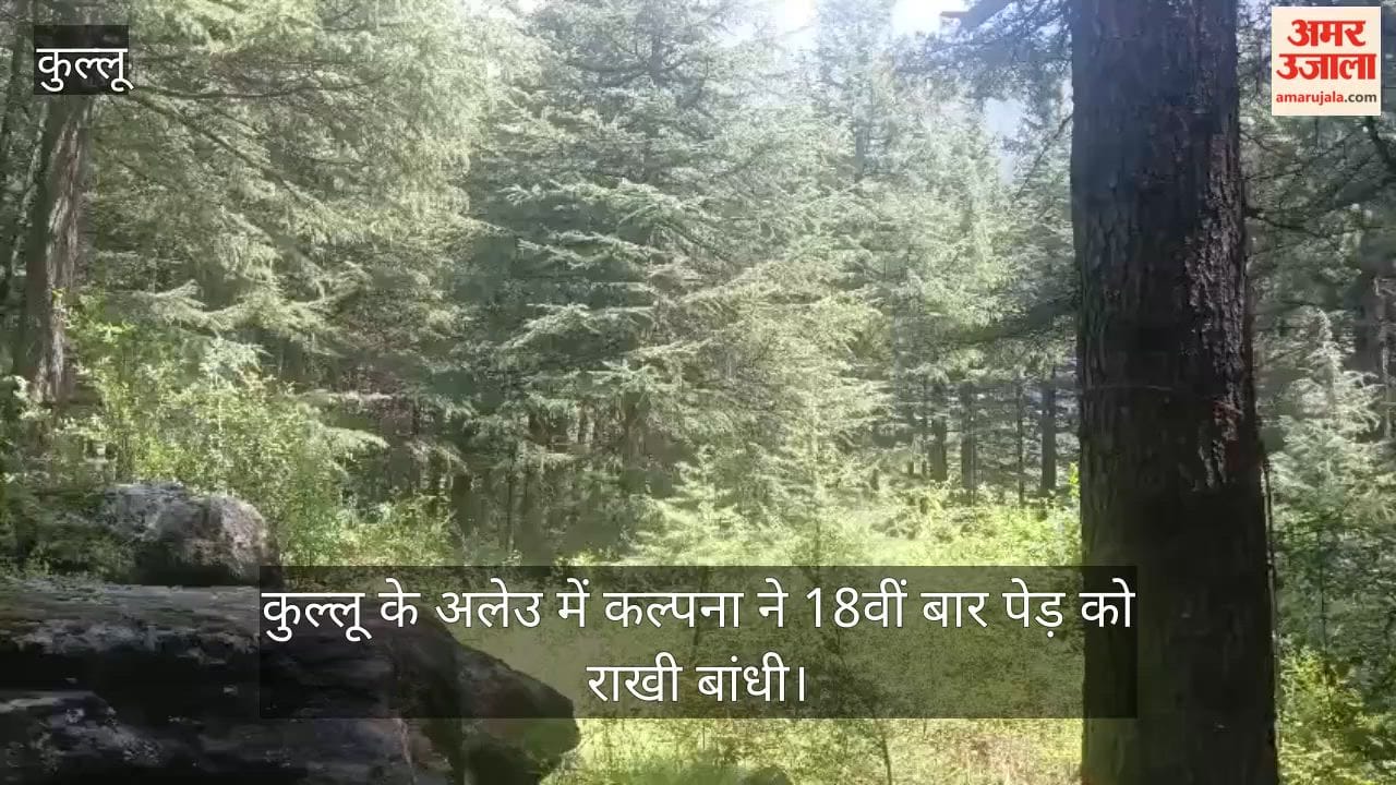 kullu kalpana ties rakhi to tree 18th time environment protection