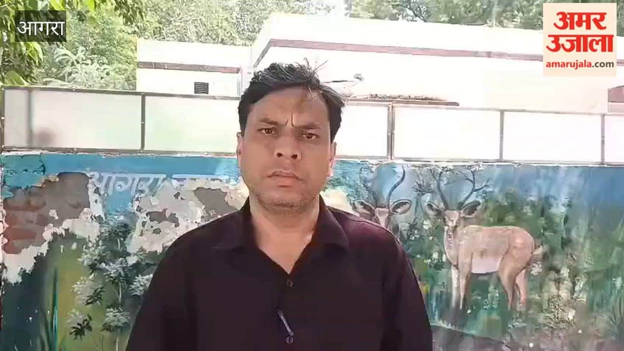 Father-Son Killed in High-Speed Eeco Collision on Raksha Bandhan