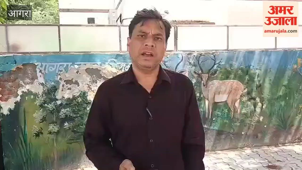 Elderly Man Beaten with Sticks Over ₹200 Goat Breeding Fee, Three Goats Allegedly Taken