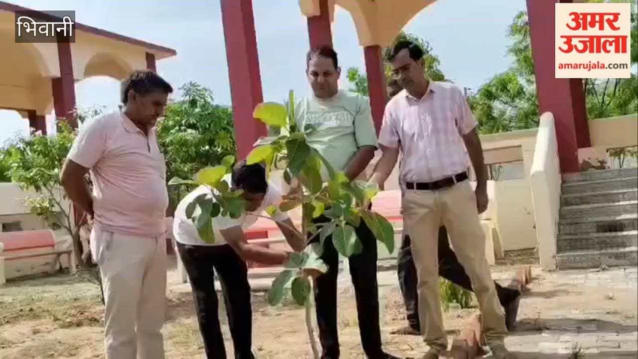 Raksha Bandhan celebrated in Bhiwani by tying 'Raksha Sutra' to plants; pledge taken to conserve plants.