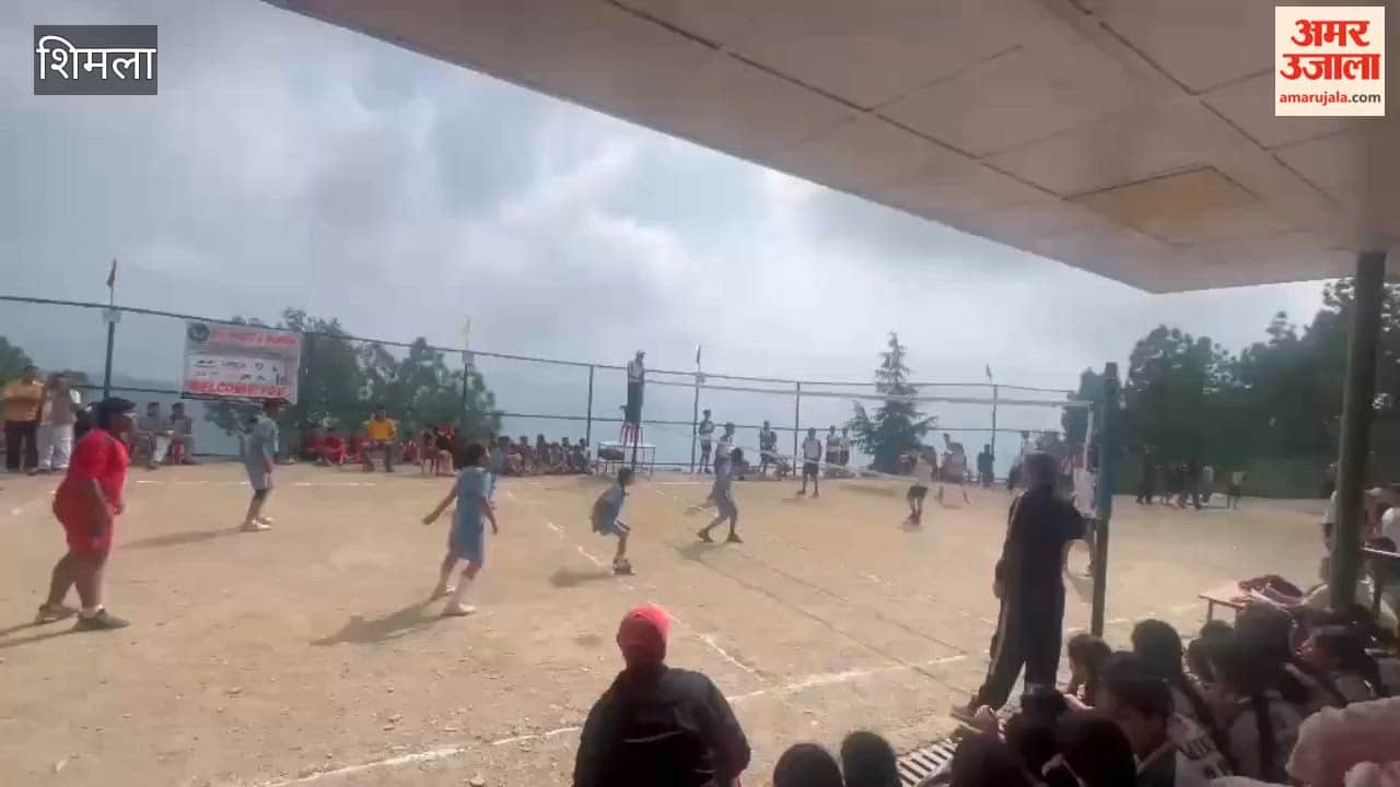 mashobra under 14 school sports volleyball competition 420 players