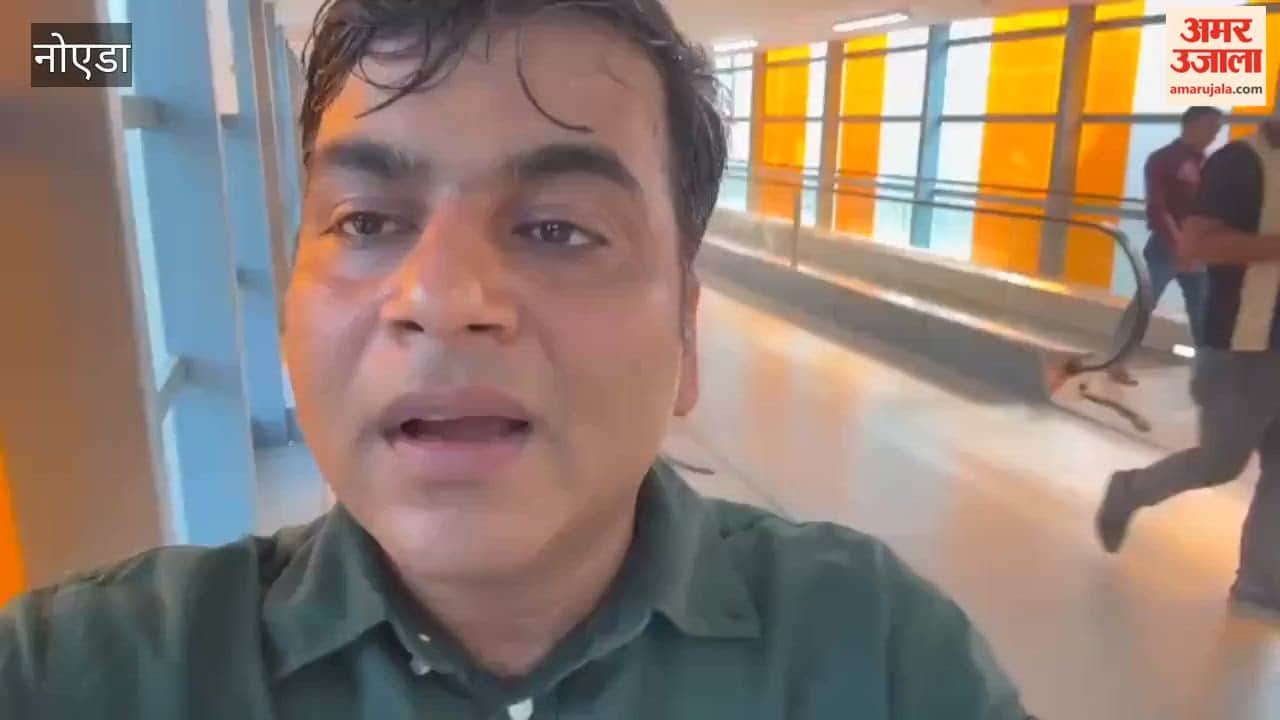 Skywalk between Noida Sector 52 and 51 stations opened