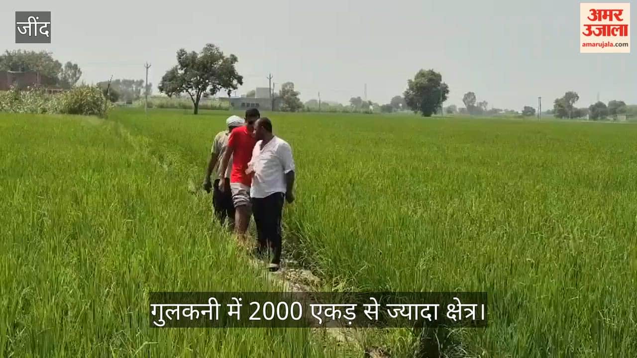 Chandigarh revenue officials head to the fields amidst the strike by Jind patwaris.