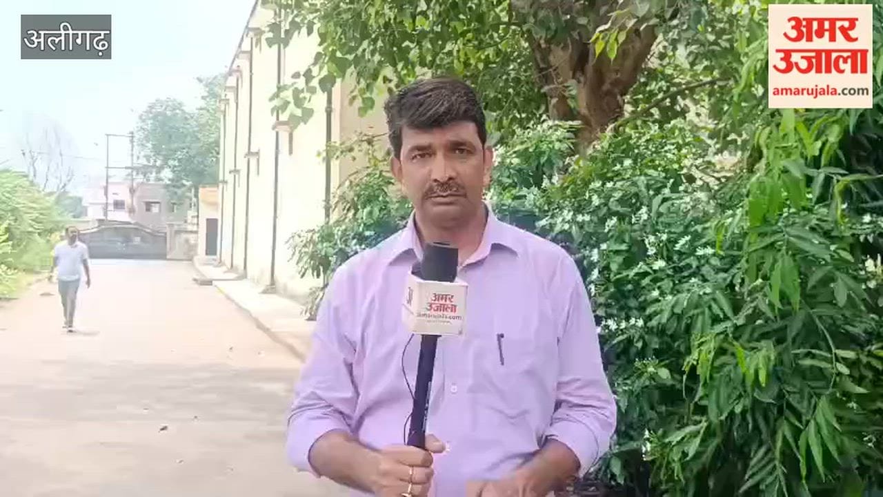 Major crackdown by the Food Safety Department in Aligarh, adulterated khoya seized