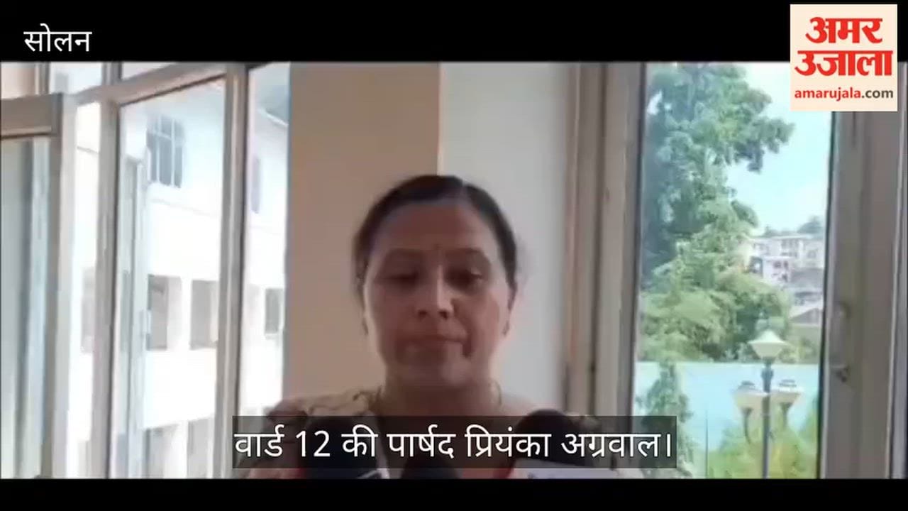 Solan: Strict action will be taken against those caught feeding stray dogs.