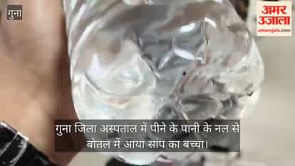 Guna: Snake Found in Drinking Water at District Hospital, Patients and Attendants Panic; Video Surfaces