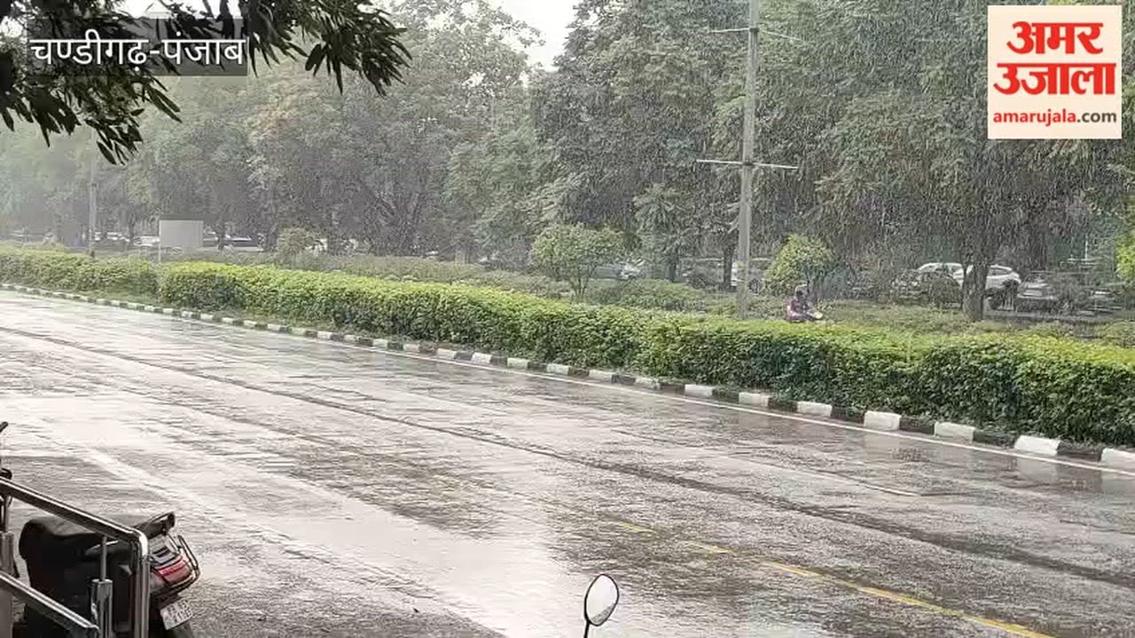 Rain in chandigarh