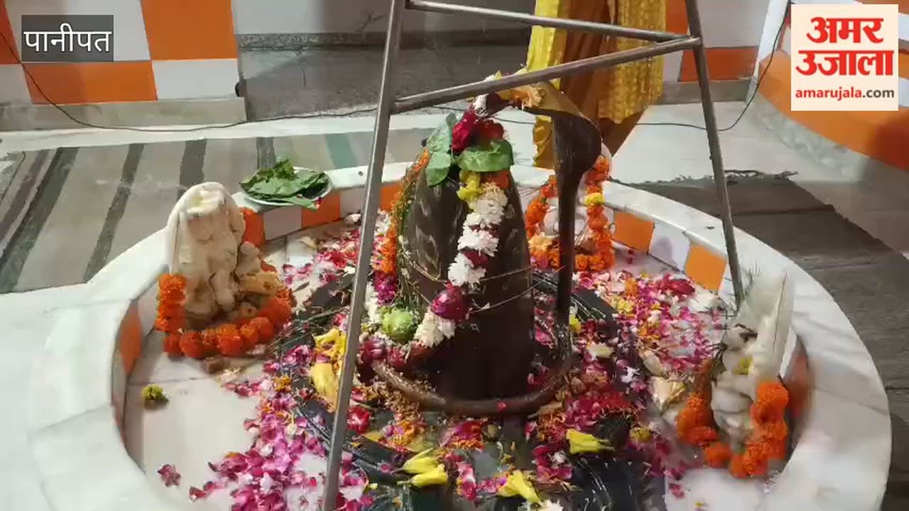 special confluence of events occurred in Panipat on the final Thursday and Friday of the month of Sawan, drawing crowds of devotees to Shiva temples; Rudrabhishek and Udyapan rituals were performed