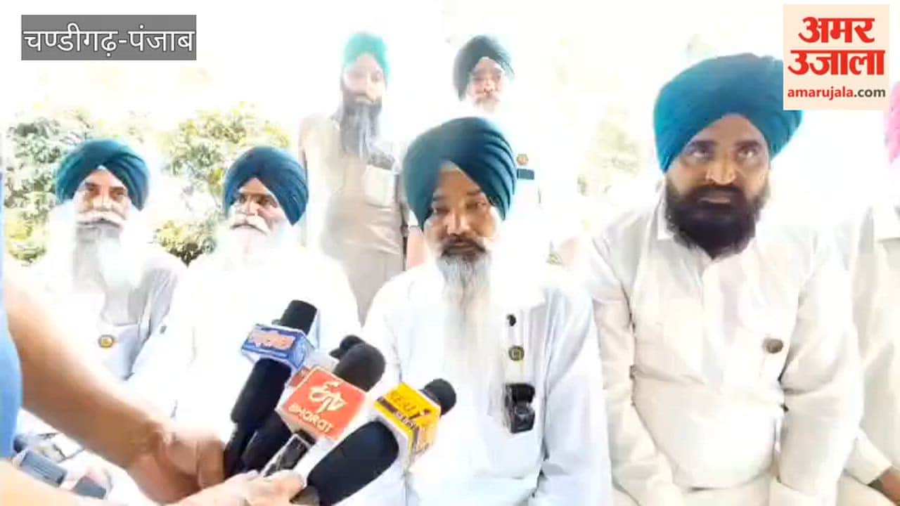 Farmers' unions intensify campaign against adulterated cumin