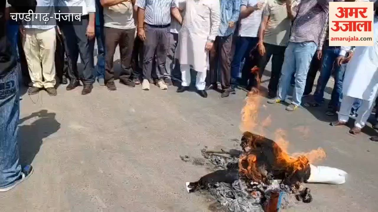 Employees' union takes out protest march in Zira.