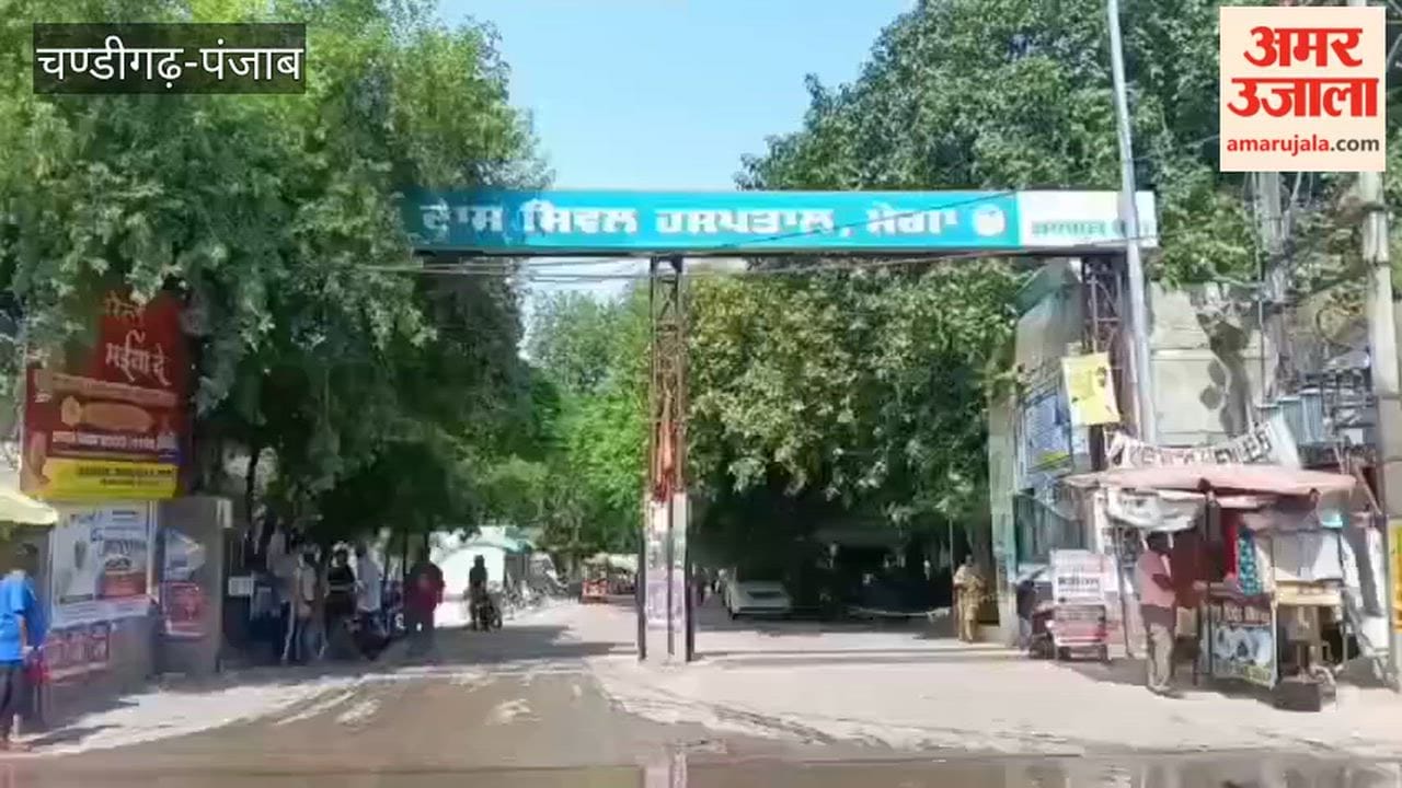 Patients inconvenienced at Moga Civil Hospital due to strike.