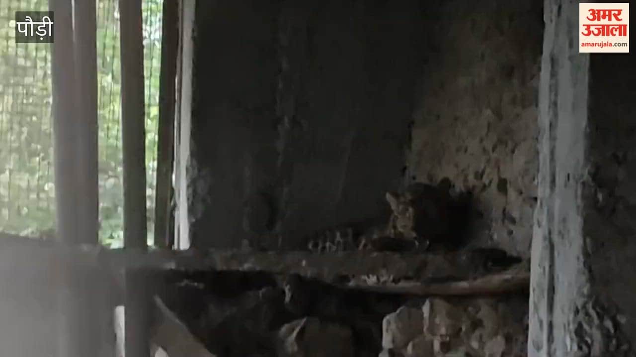 Pauri Garhwal: Leopard trapped in poultry coop; panic among villagers.