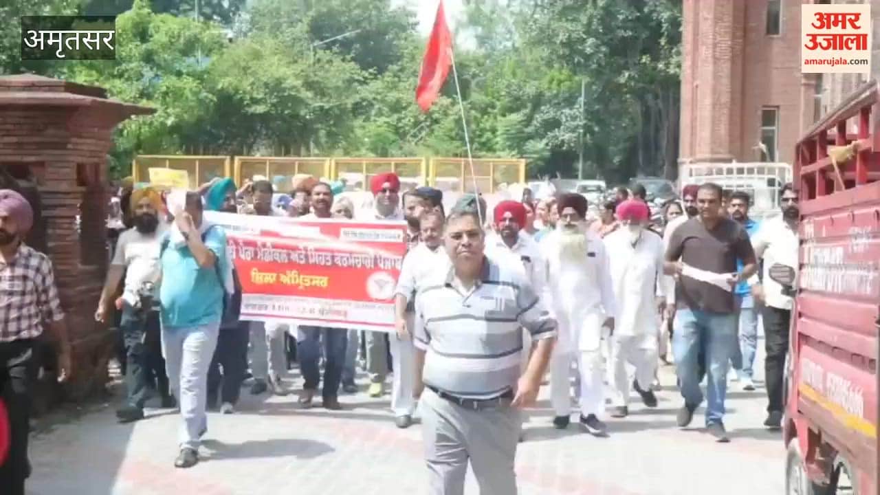 Punjab employees and pensioners took to the streets after taking mass leave.