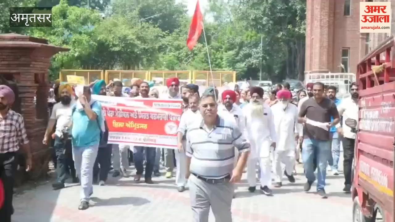 Punjab employees and pensioners took to the streets after taking mass leave.