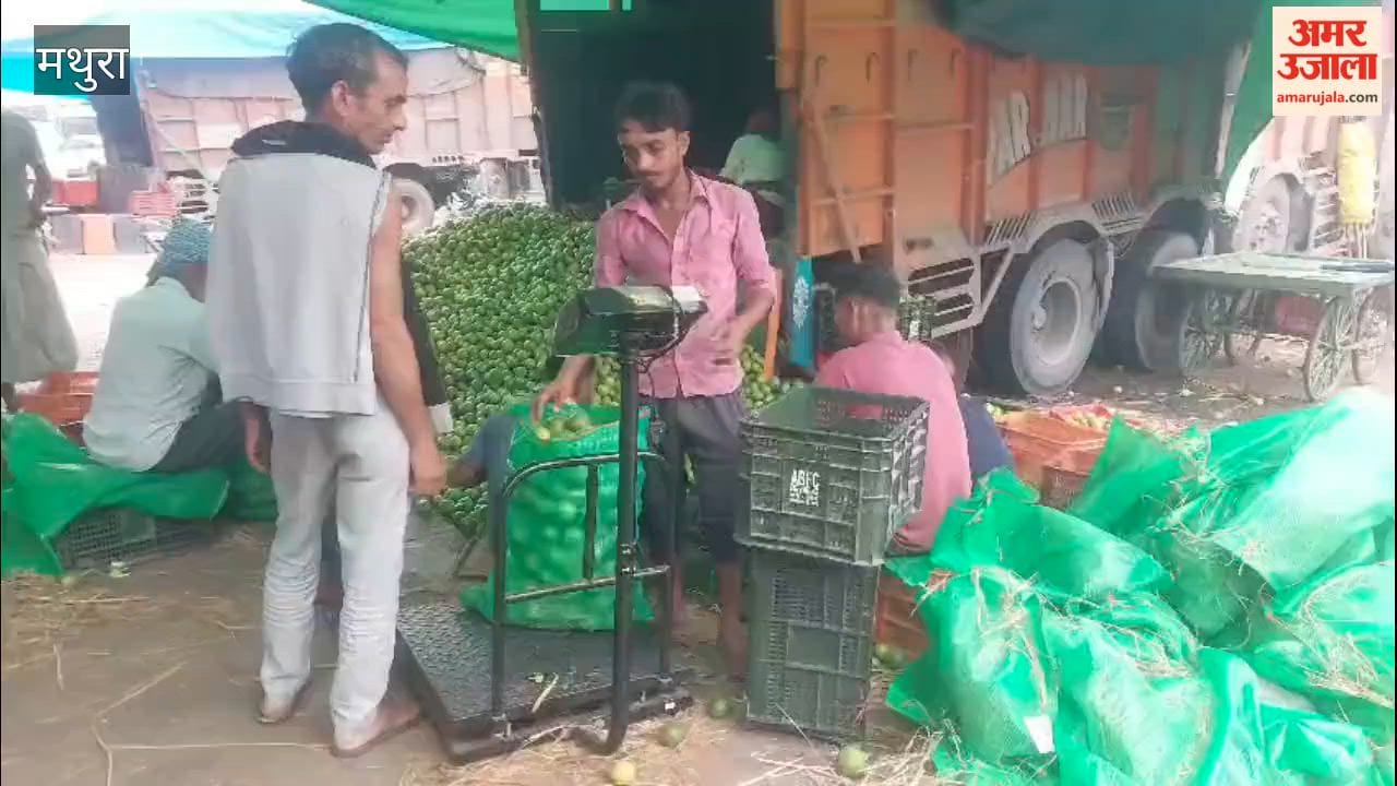 Fruit prices begin to rise during the festive season.