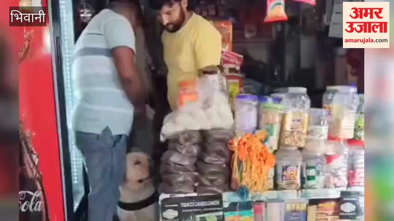 Police conduct anti-drug search operation in Bhiwani's Singhani; dog squad carries out inspection; tobacco vendor fined.