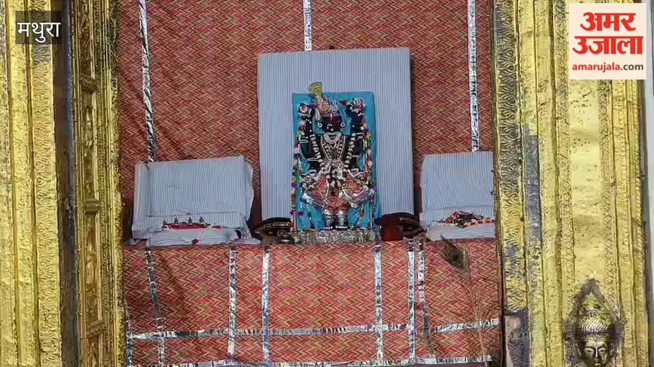 dwarikadheesh seated on a pink velvet swing in Mathura