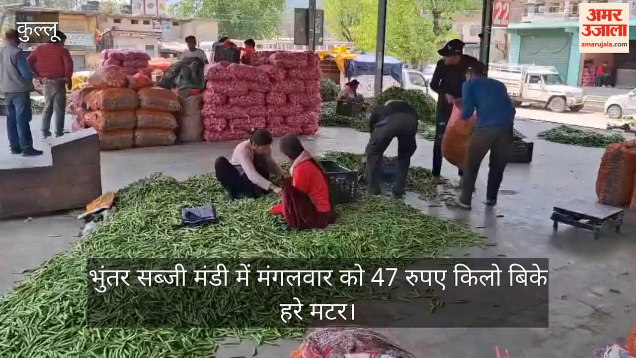 Kullu Green peas sold for ₹47 per kg at Bhuntar vegetable market