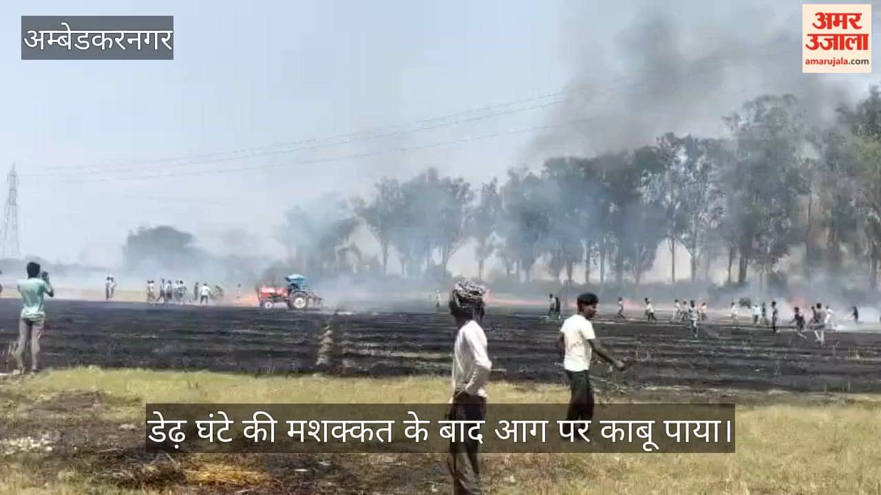 VIDEO: अज्ञात कारणों से लगी आग में सात बीघा गेहूं जलकर राख, डेढ़ घंटे की मशक्कत के बाद आग पर काबू पाया