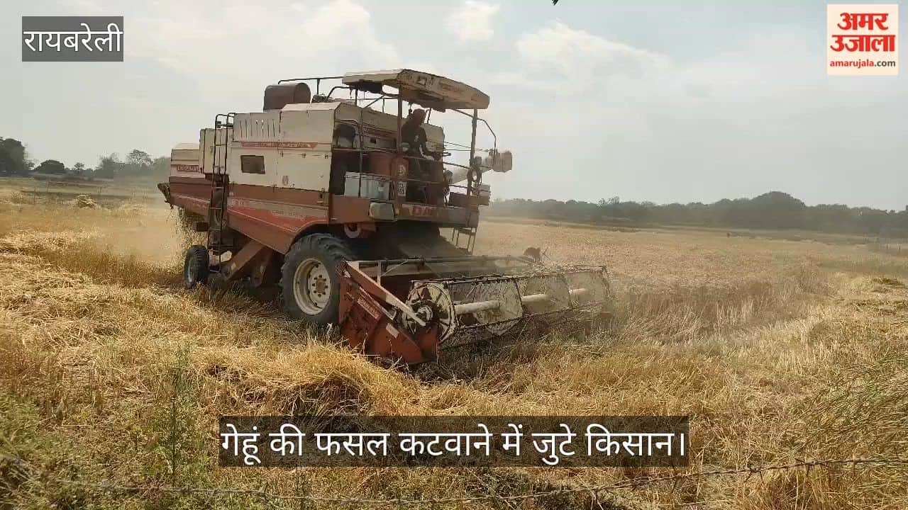 VIDEO: बरसात के बाद निकली धूप से किसानों में गेहूं की फसल कटवाने में जुटे किसान