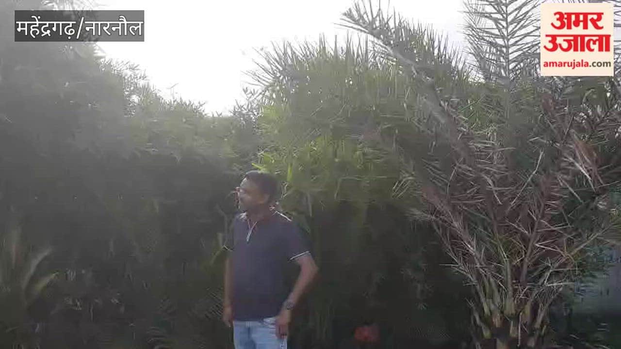 "As long as my hands and feet function, I will continue working towards environmental conservation": Amit Yadav