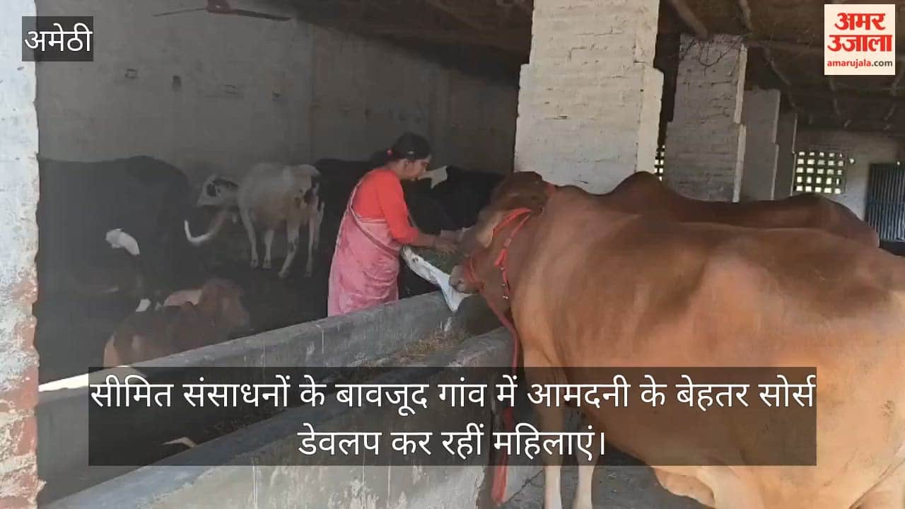 VIDEO: वर्मी कंपोस्ट और पशुपालन से तरक्की की राह पर मातृशक्ति, गांव में आमदनी के बेहतर सोर्स डेवलप कर रहीं महिलाएं