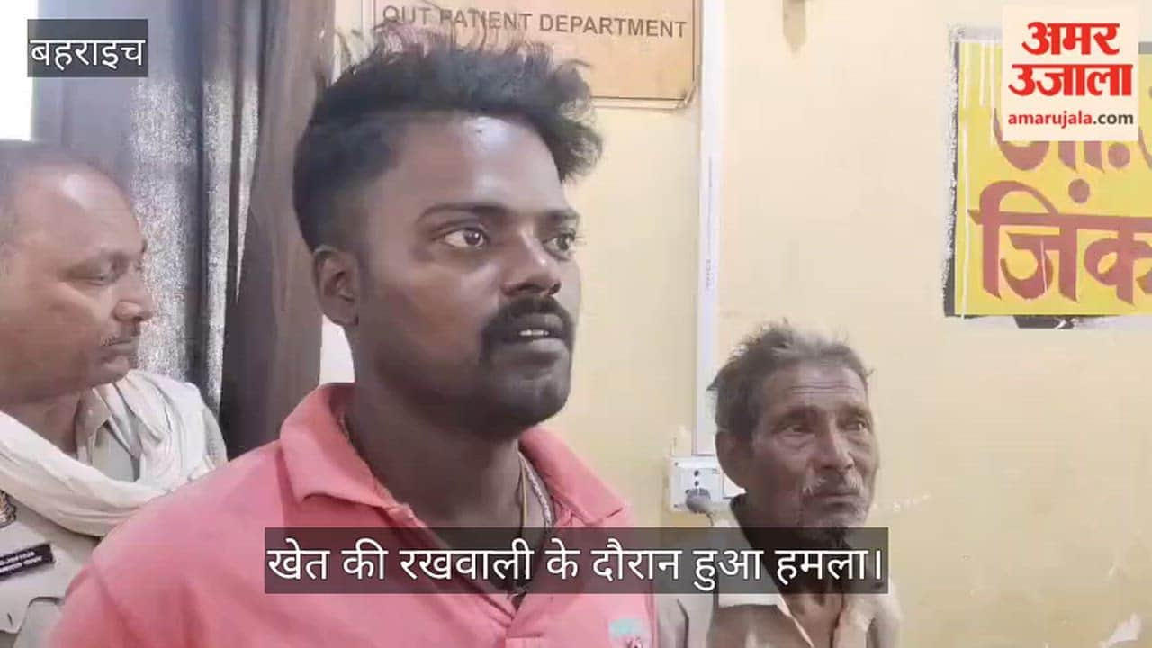 VIDEO: जंगल से निकले बाघ ने नोंच ली बालक की आंख, हालत गंभीर, परिजनों का रो-रोकर बुरा हाल