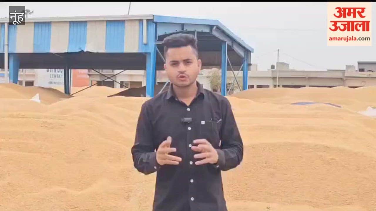 Farmer wheat crop getting spoiled due to rain in grain markets in Nuh