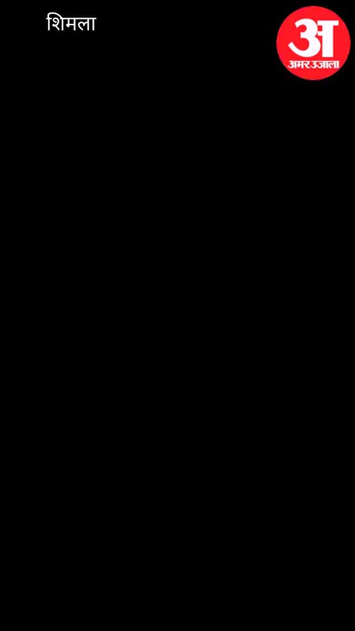 Video: खलीनी में चैनल नाइन के पास लावारिस कुत्तों का आतंक, एक बच्ची को काटा