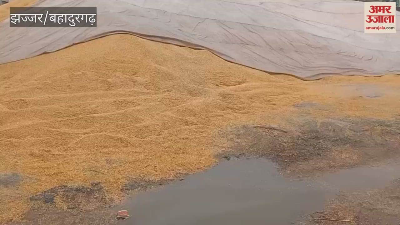 Crops kept in the open in the grain market soaked in rain