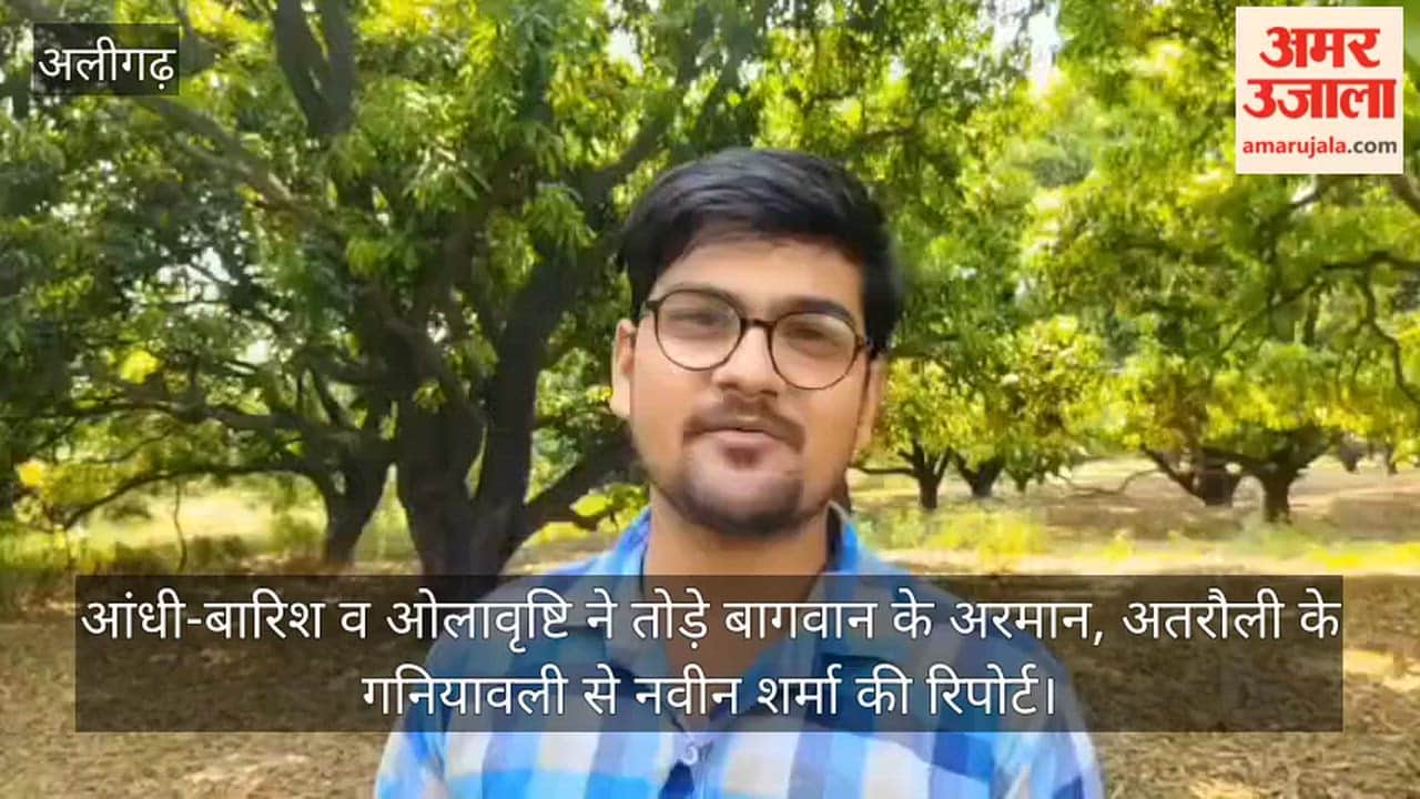 आंधी-बारिश व ओलावृष्टि ने तोड़े बागवान के अरमान, अतरौली के गनियावली से नवीन शर्मा की रिपोर्ट