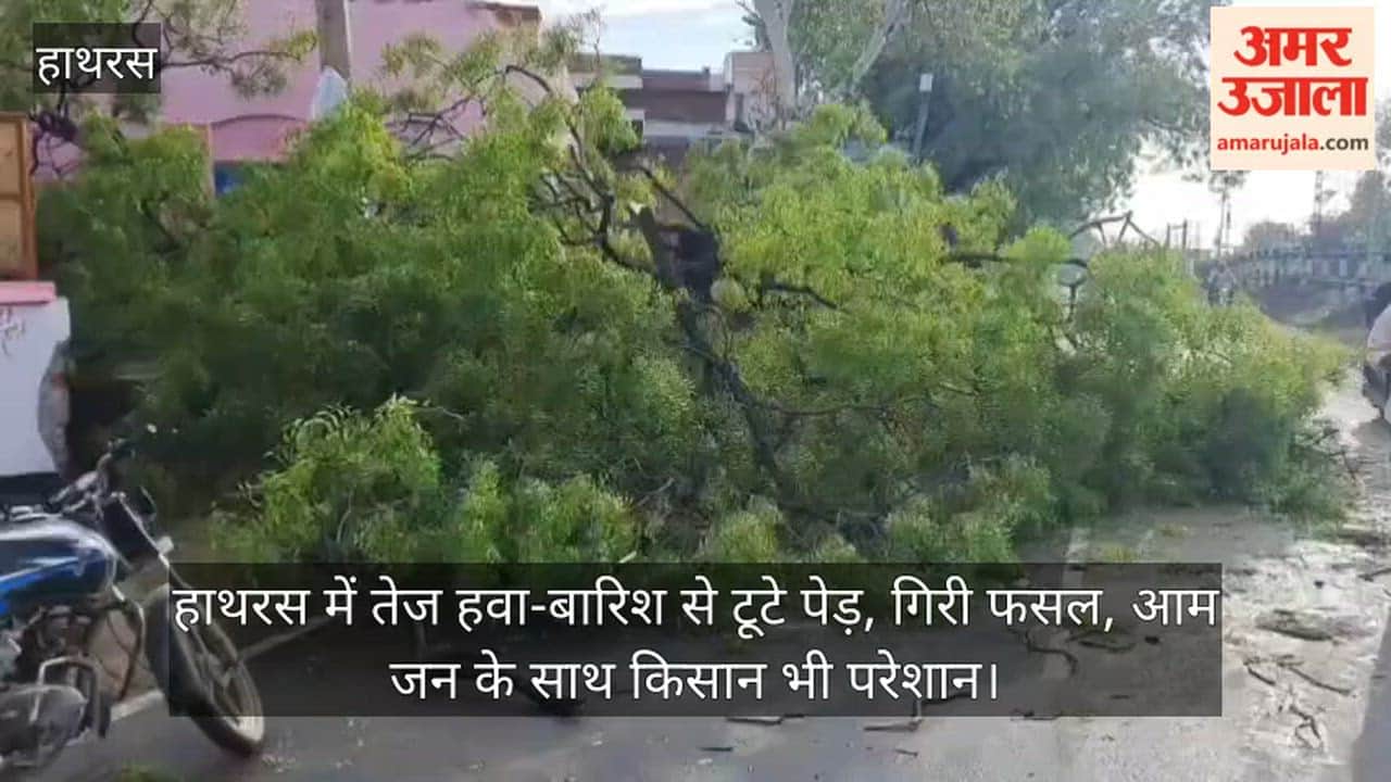 हाथरस में तेज हवा-बारिश से टूटे पेड़, गिरी फसल, आम जन के साथ किसान भी परेशान