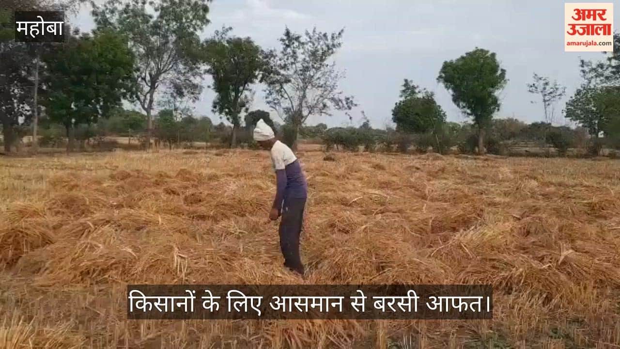 Storm and Rain Wreak Havoc in Mahoba Standing Crops Across 1.02 Lakh Hectares Face Crisis