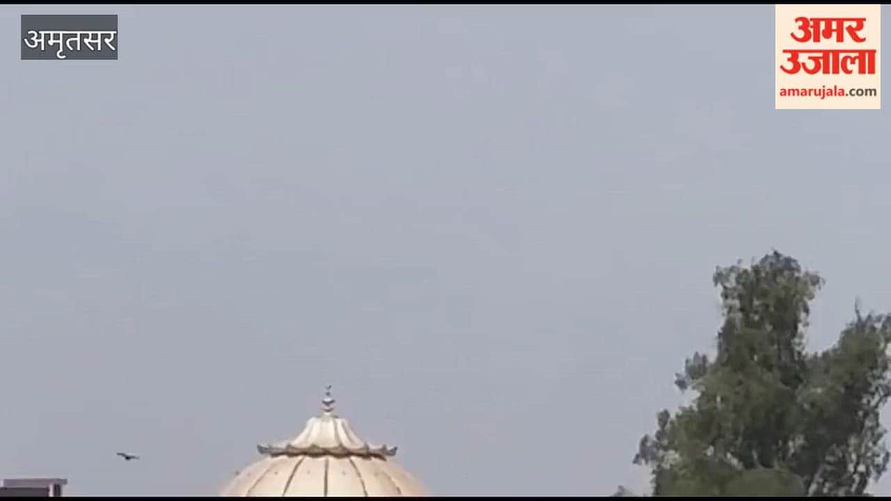 Dilapidated Condition of Daburji Flyover in Amritsar; Government Accused of Negligence