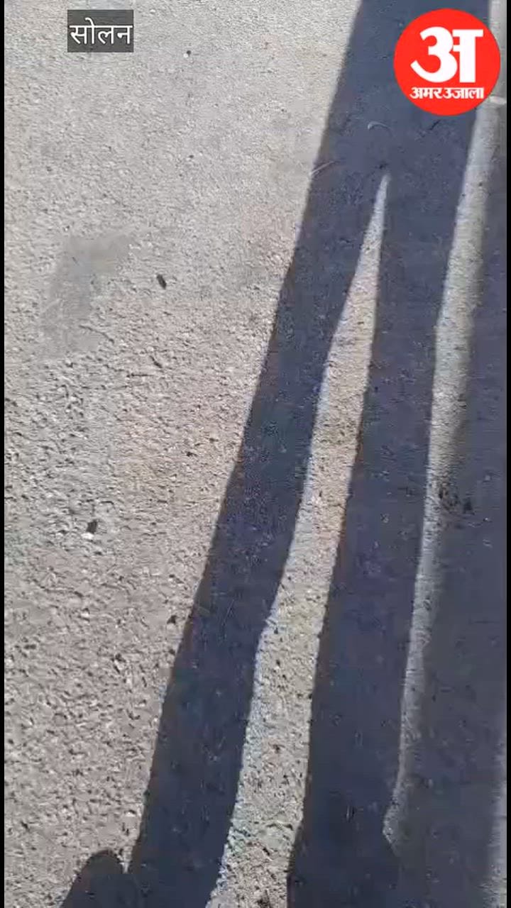 Solan: आंजी में ट्रक से टकराई बोलेरो गाड़ी, एक की मौत, कई गाड़ियां क्षतिग्रस्त