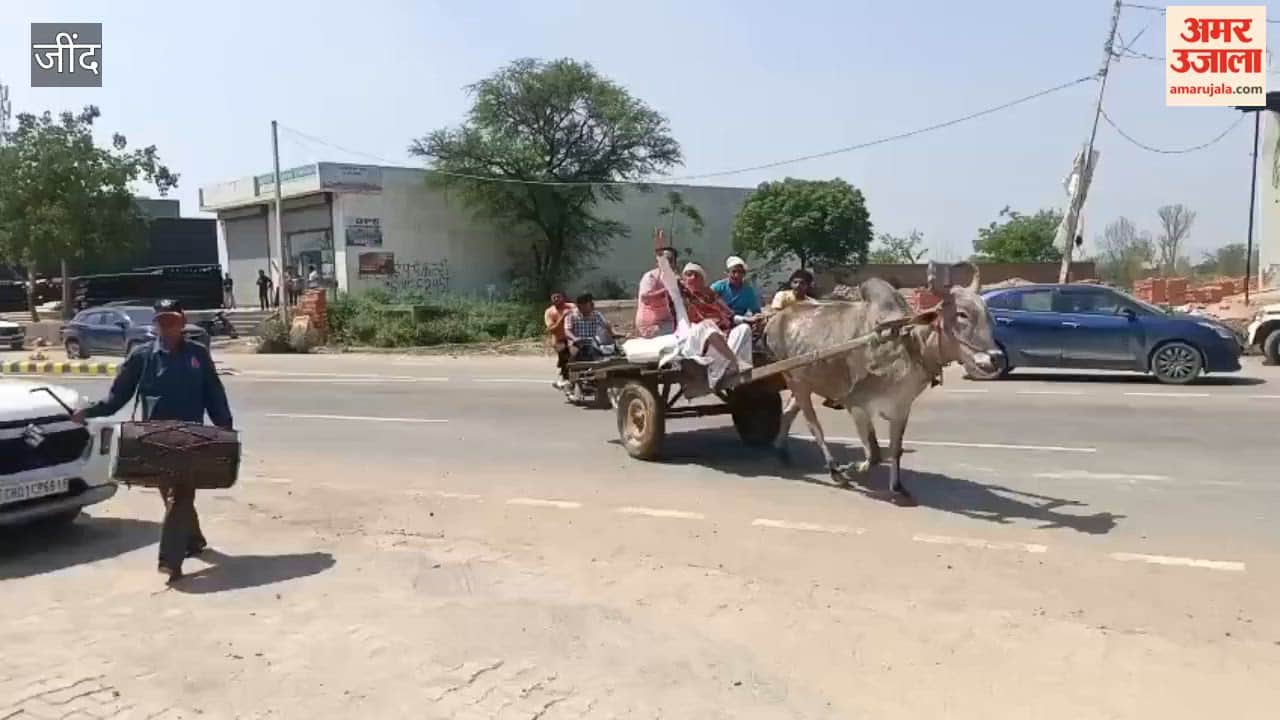 farmer arrived at the grain market in Julana, Jind, carrying his harvest in a bullock cart accompanied by the beat of drums