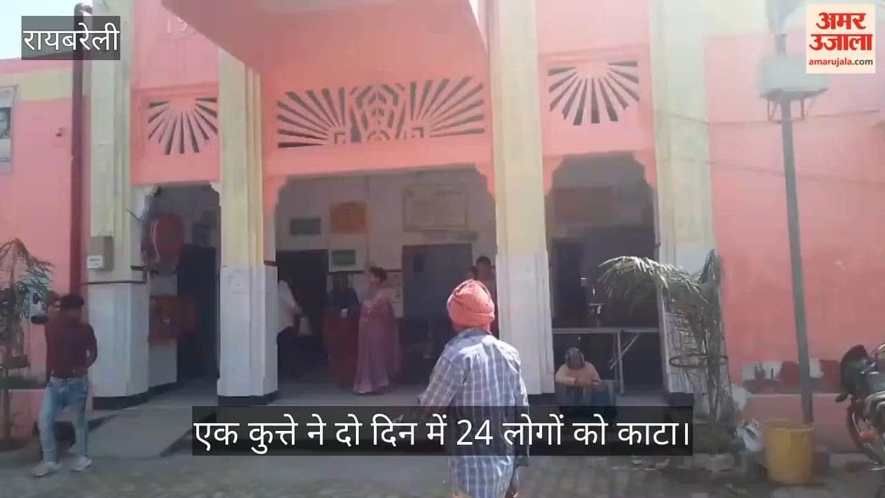 रायबरेली में एक कुत्ते ने दो दिन में 24 लोगों को काटा