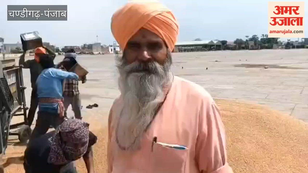 The first trolley of wheat has arrived at the Dana Mandi in Ferozepur city.