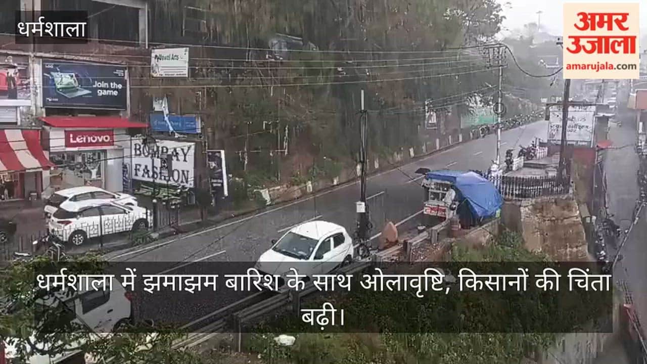 Heavy Rain and Hailstorm Lash Dharamshala; Farmers' Worries Mount