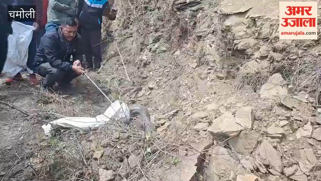 Gairsain: Giant Python Spotted by Roadside; Forest Department Team Rescues It