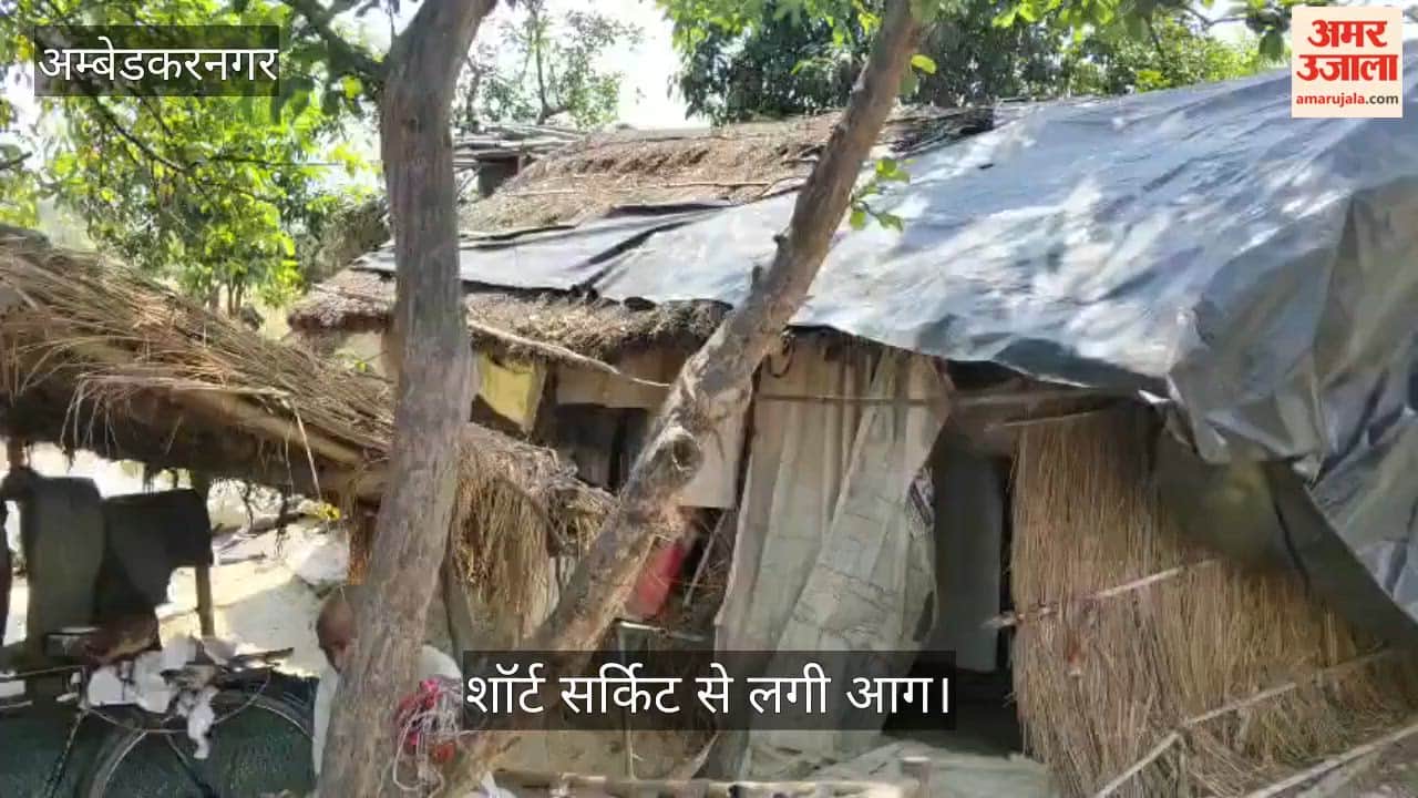 अंबेडकरनगर में शॉर्ट सर्किट से लगी आग, 25 बकरियां जलकर मरीं, महिला झुलसी