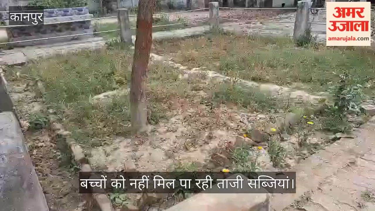 Bhitargaon Nutrition Garden Falls Victim to Government Apathy Plants Wither Due to Lack of Water