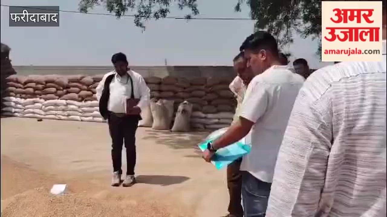 A Central Government team inspected the quality of wheat at the Mohana grain market in faridabad