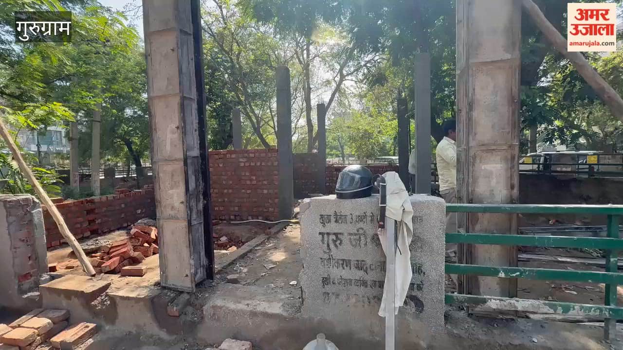 Cutting a Tree Branch Proves Costly in Gurugram Forest Department Registers Case