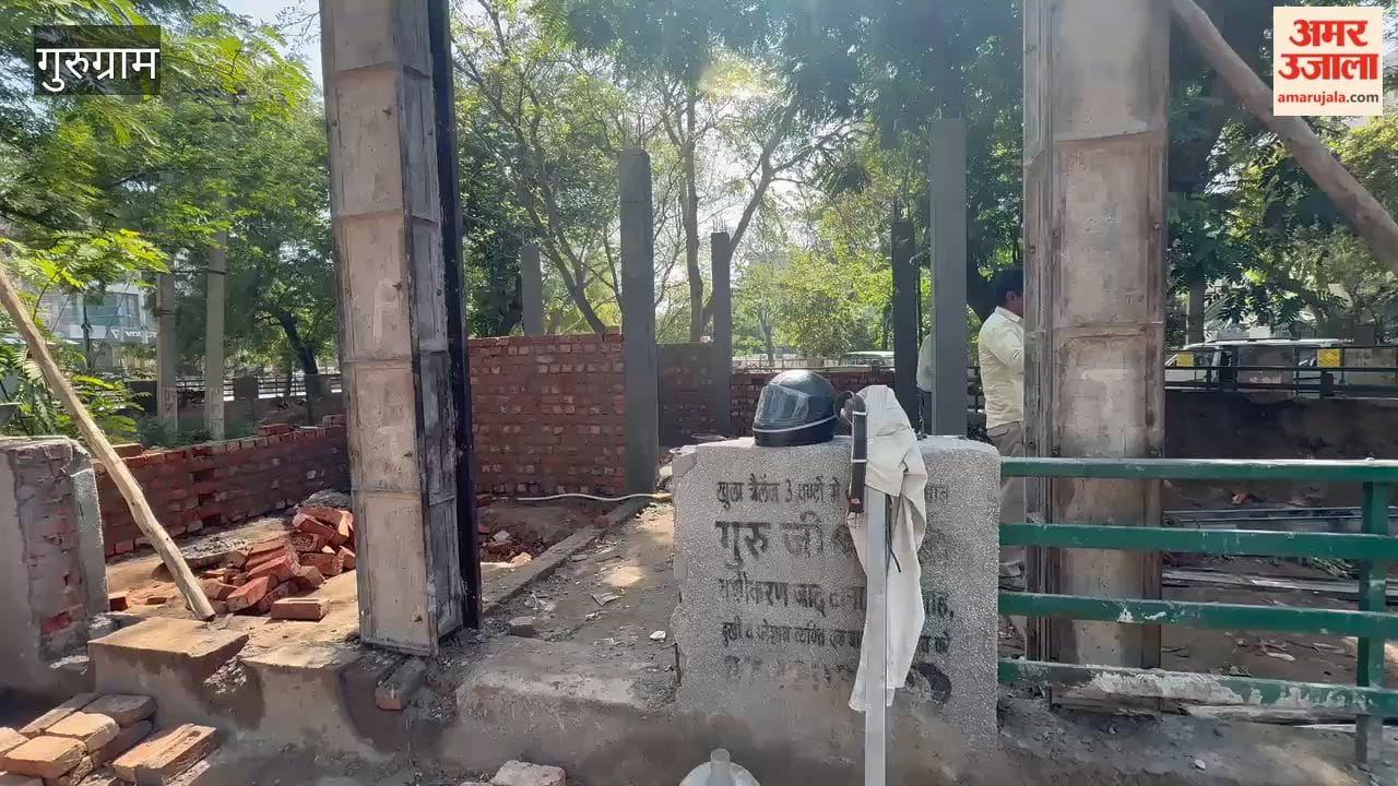 Cutting a Tree Branch Proves Costly in Gurugram Forest Department Registers Case